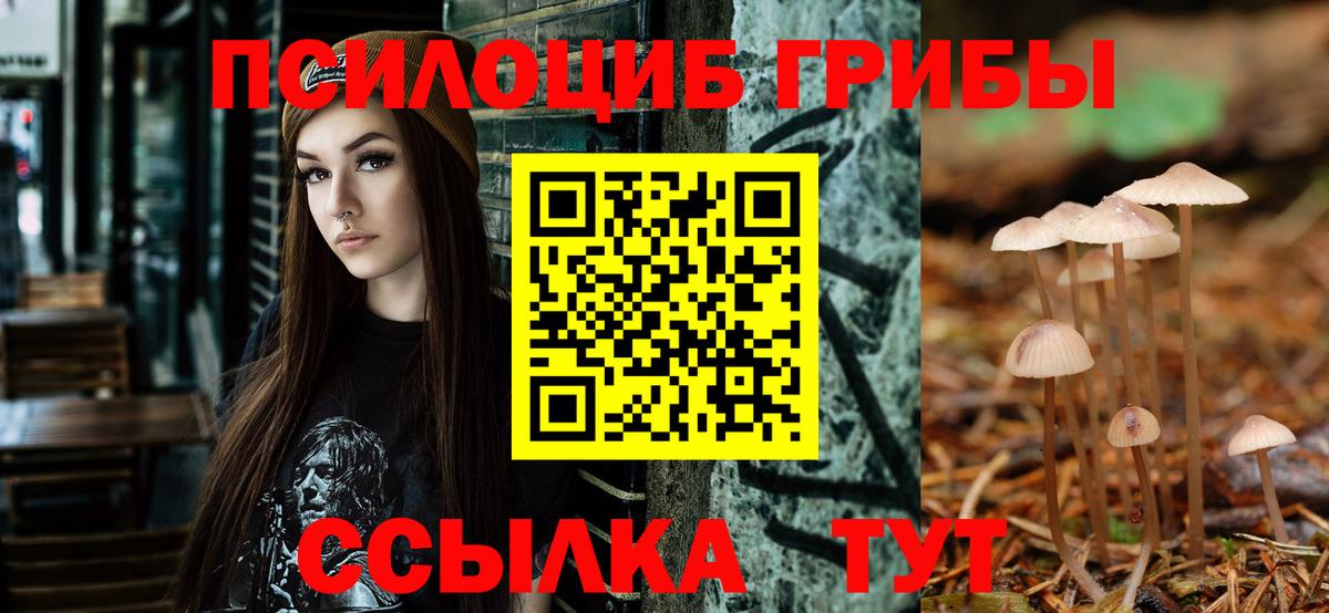 Галлюциногенные грибы мицелий  Вход с VPN  Мурманск 
